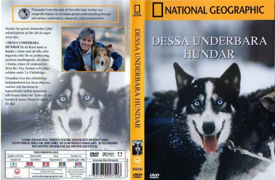 NATIONAL GEOGRAPHIC:THOSE WONDERFUL DOGS	(22 065)	k	-SV-		DV