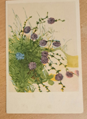 kukkakortti, violetit kukat kulkenut käsipostissa