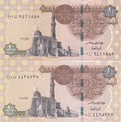 Egypt 1 Pound 2008 P50n #213