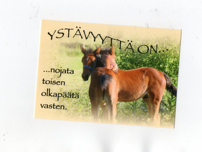 °°YSTÄVYYTTÄ ON...°° -KORTTI /M.Roisko