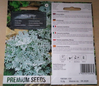 Hopeavillakko "Dusty Miller" - siemenet #