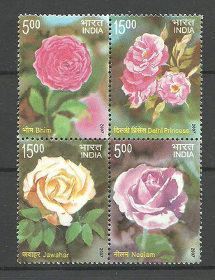 RUUSUT kukat - Tuoksuva sarja INTIA 2007 **