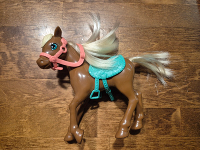 Chelsea Barbin poni  (#3245)