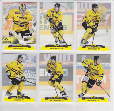 2017-18 Cardset Series 1 SaiPa Team Set 12 korttia (121-132)