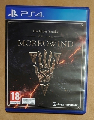 The Elder Scrolls Online