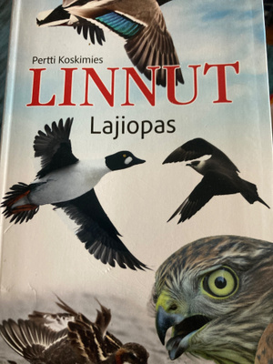 PERTTI KOSKIMIES: LINNUT - LAJIOPAS