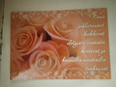 NO 1 - nämä juhlaruusut kukkivat eletyistä vuosista kertovat