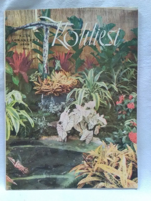 Kotiliesi No 19 lokakuu 1950