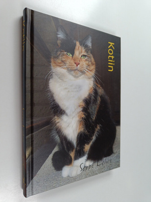 Seppo Lehto : Kotiin