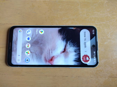 Nokia x10