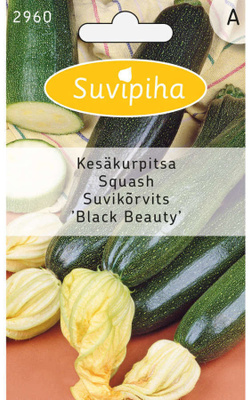 Kesäkurpitsa "BLACK BEAUTY" siemenet #