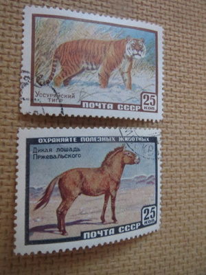 CCCP 1959: eläimiä
