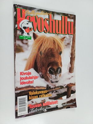 Hevoshullu 26/2000