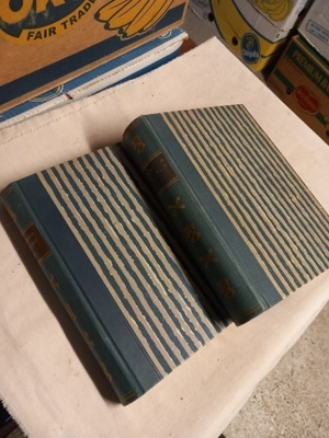 mannerhein muistelmat 1-2