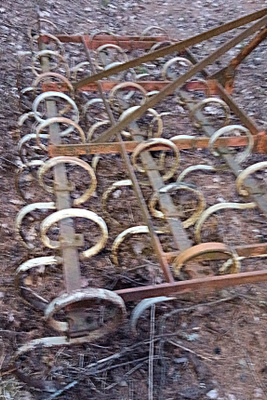 Joustopiikkiäes