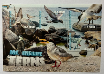 LINNUT tiirat eläinaiheinen blokki SIERRA LEONE 2016 **