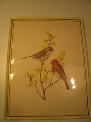 Kaunis sisustustaulu linnut 34 x 26 cm, kehystetty ja pleksi