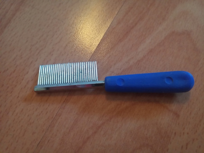 Lemmikin pieni kampa
