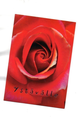 PUNAINEN RUUSU ...°°YSTÄVÄLLE°° -KORTTI