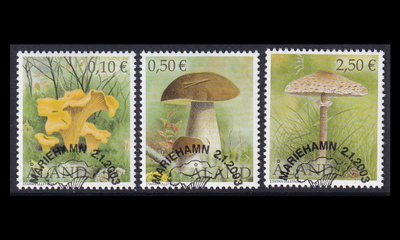 214-6 o Sieniä EPL (2003)