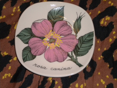 Arabia ESTERI TOMULA - Rosa Canina seinälautanen
