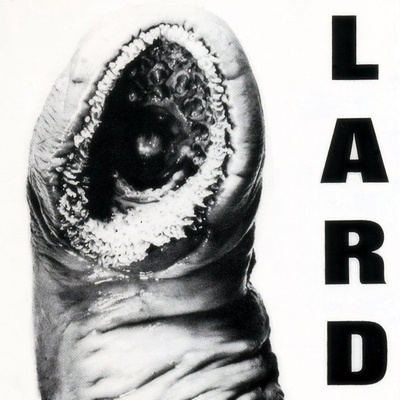 Lard - The Power Of Lard EP 12" 1989 UK & EU Vinyyli