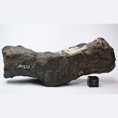 Rauta meteoriitti Canyon Diablo "harkko" 705g 15cm Monnig #