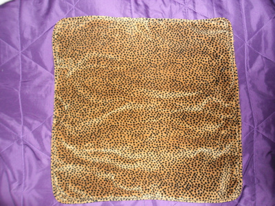 Tyynynpäällinen