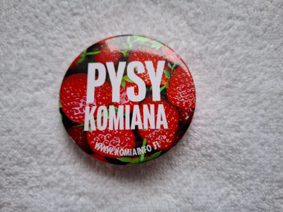 Pysy komiana Rintanappi