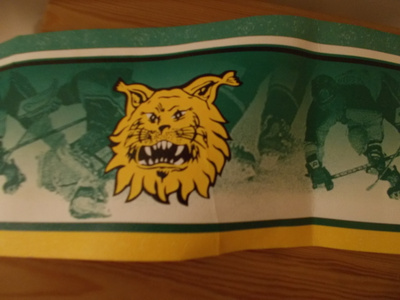 ILVES