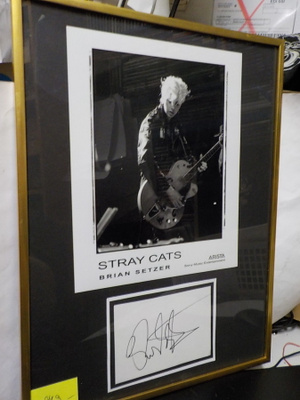 STRAY CATS TAULU BRIAN SETZERIN NIMMARILLA