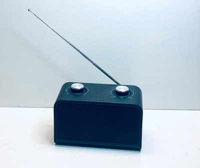 Defeated Fm radio