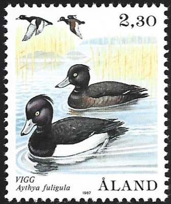Åland 1987 Lintusarja Tukkasotka 2,30 mk ** LaPe 021