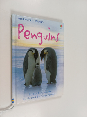 Susanna Davidson : Penguins