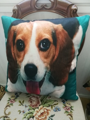 Beagle tyynynpäällinen