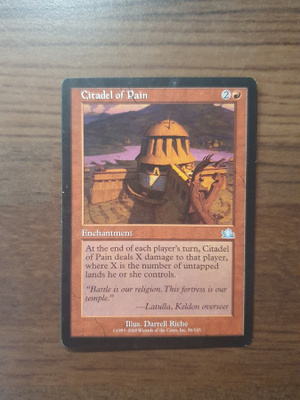 Magic the Gathering Citadel of Pain
