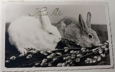 Kaksi pupua ja pajunkissat, mv vkpk, eestil. p. 1939