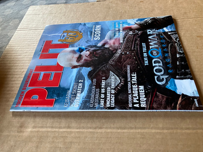 PELIT LEHTI 11/2022 HYVÄ