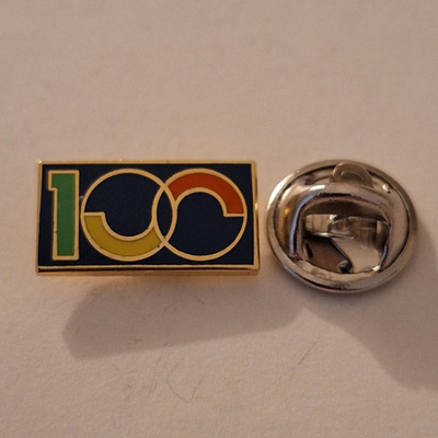 100 PINSSI