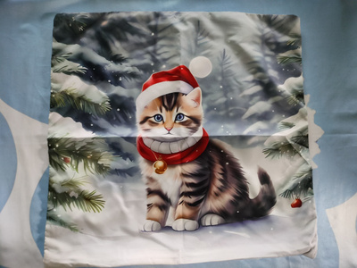 ~Koristetyynynpäällinen~ kissa