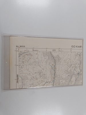 Topografinen kartta 1:20 000, N:o 3813 03 : Iso Karvaselkä