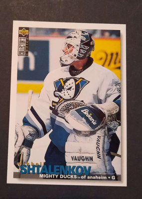 Mv Mikhail Shatalenkov 1995, Mighty Ducks of Anaheim
