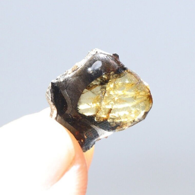 Pallasiittinen peridootti kide Sericho pallasiitti 4.50 ct