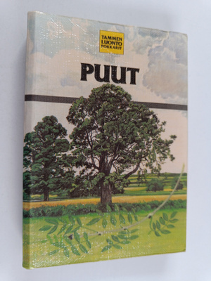 David More : Puut