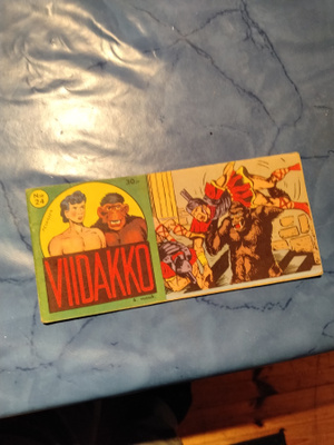 viidakko 6 vsk 24
