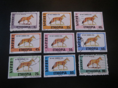 Etiopia: Simien kettu