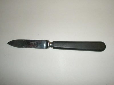 FISKARS RAPUVEITSI PIT. 155 MM