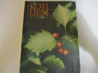 KOTILIESI 17/1962