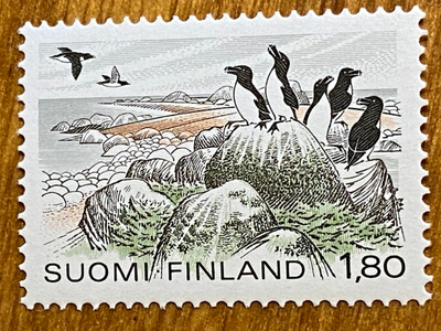 YLEISMERKKI RUOKKEJA**