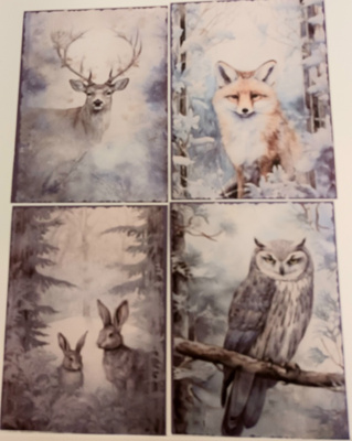 Korttikuvat LUONNON ELÄIMET / 4 kpl -setti / A6